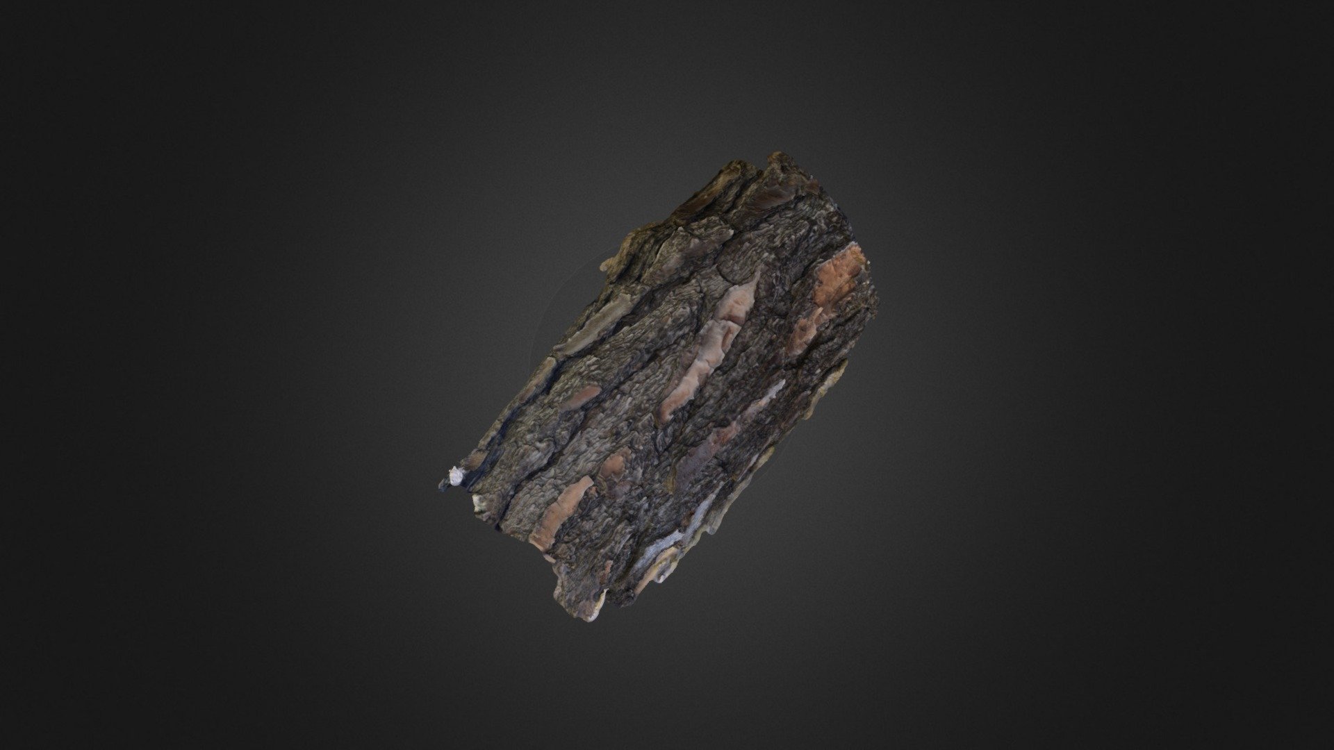 Southern Pine Bark