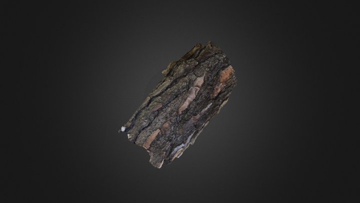 Southern Pine Bark 3D Model