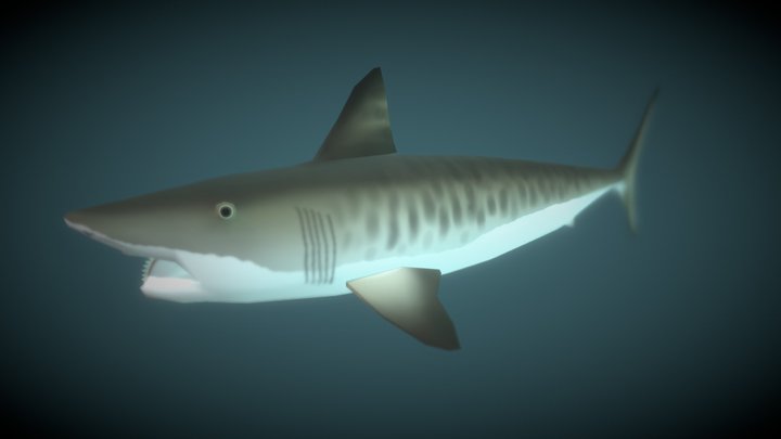 helicoprion bessonowi 3D Model