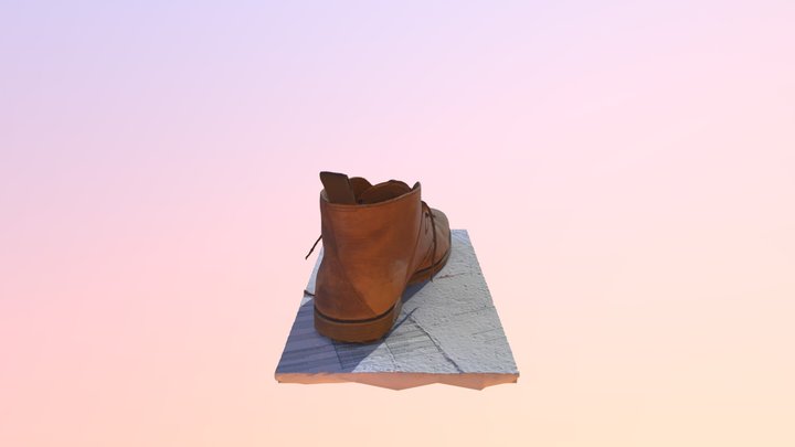 Shoe Test 3D Model