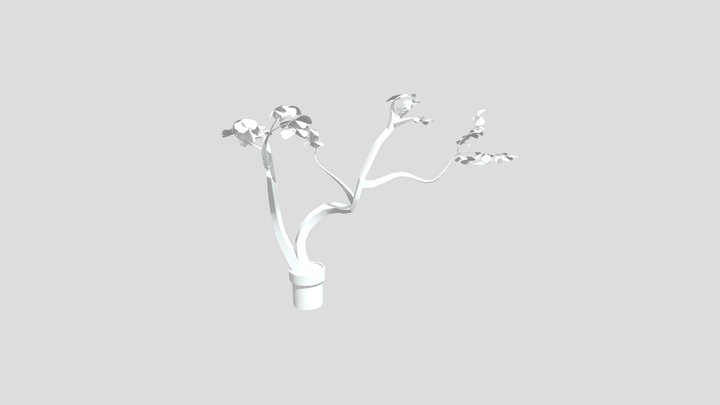 Final 3D Model