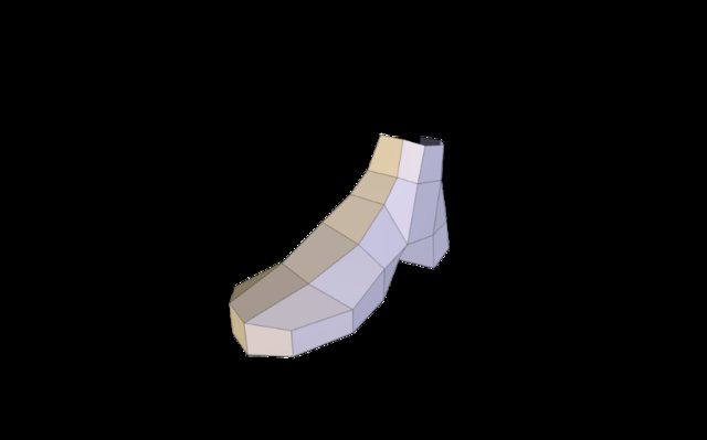 Foot - Josh Lagerwey 3D Model