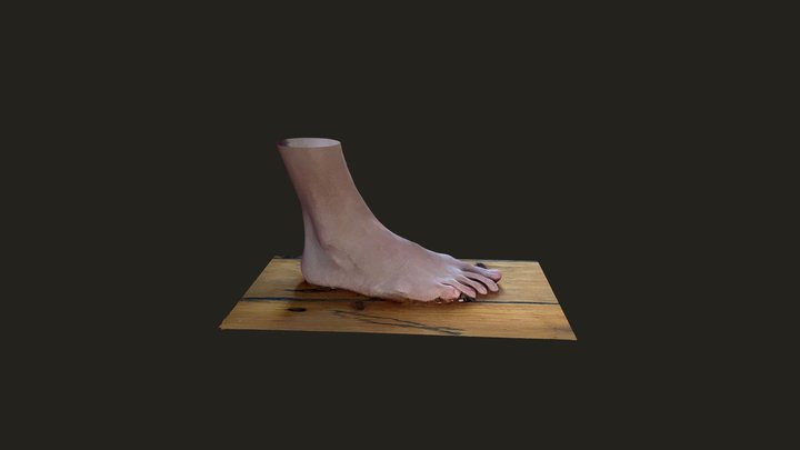 TrueDepth Foot 3D Scan on iPhone – Free 3D Model STL