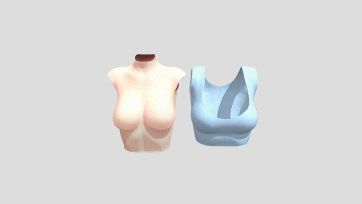 L7胸腔和衣服 3D Model
