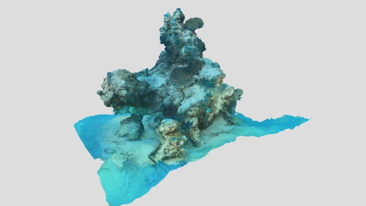 Massif corallien - Passe en S - Mayotte 3D Model