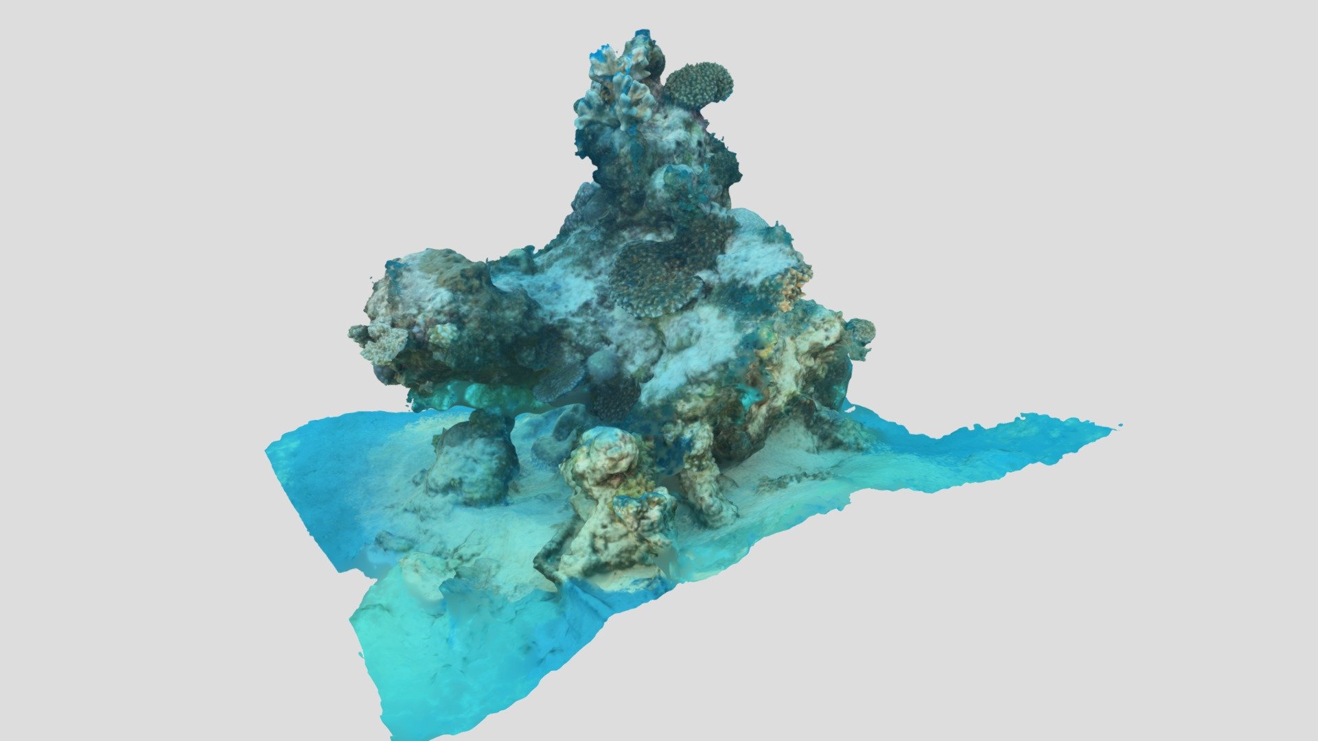 Massif corallien - Passe en S - Mayotte