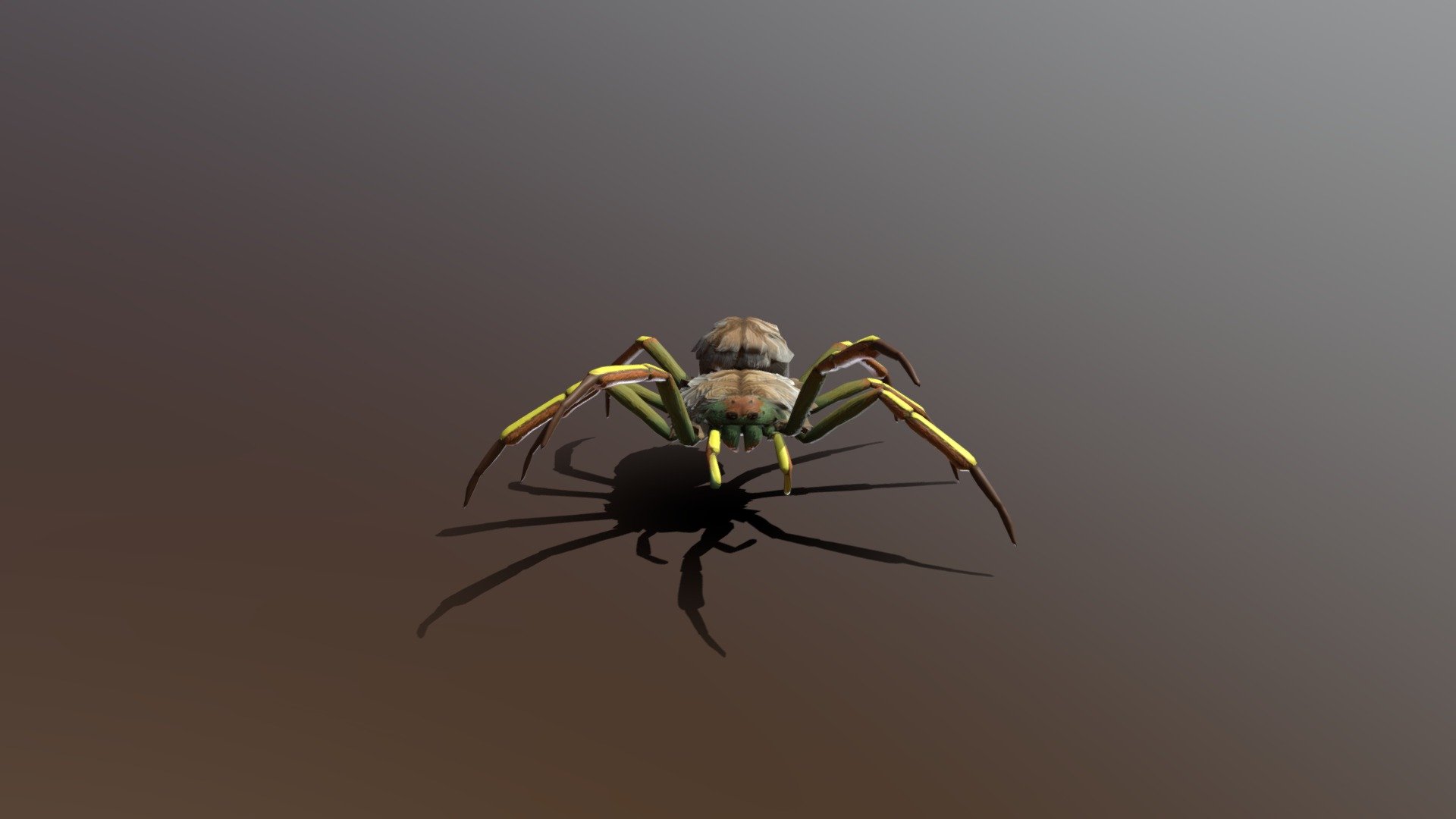 Tundra Spider