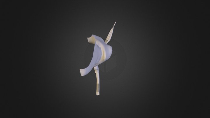 LOW.OBJ 3D Model