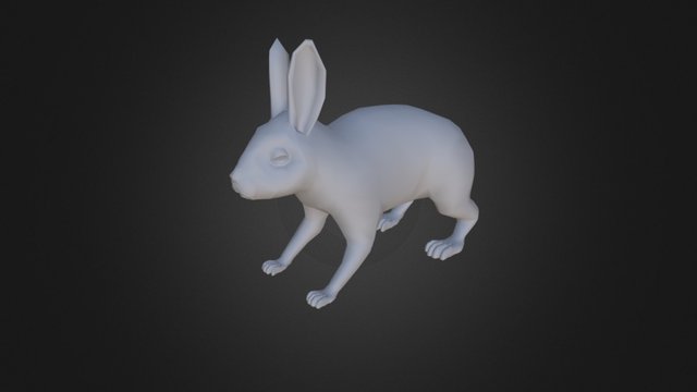 Rabbit 3D Base Model 3D Model