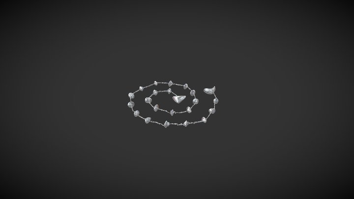 Raspa 3D Model