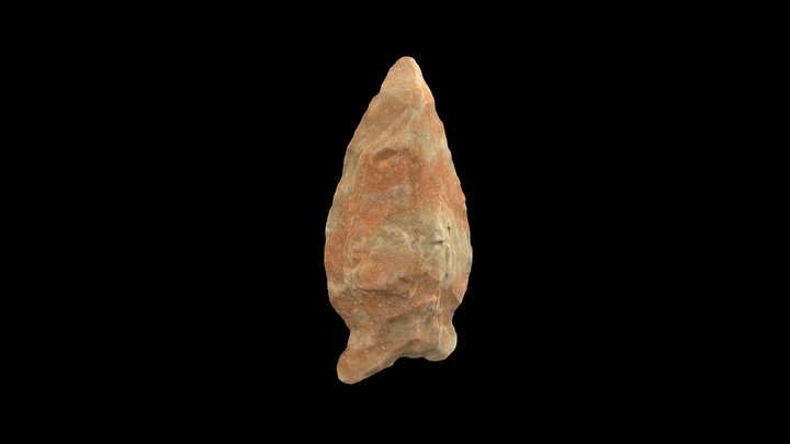 Small Projectile Point 3D Model