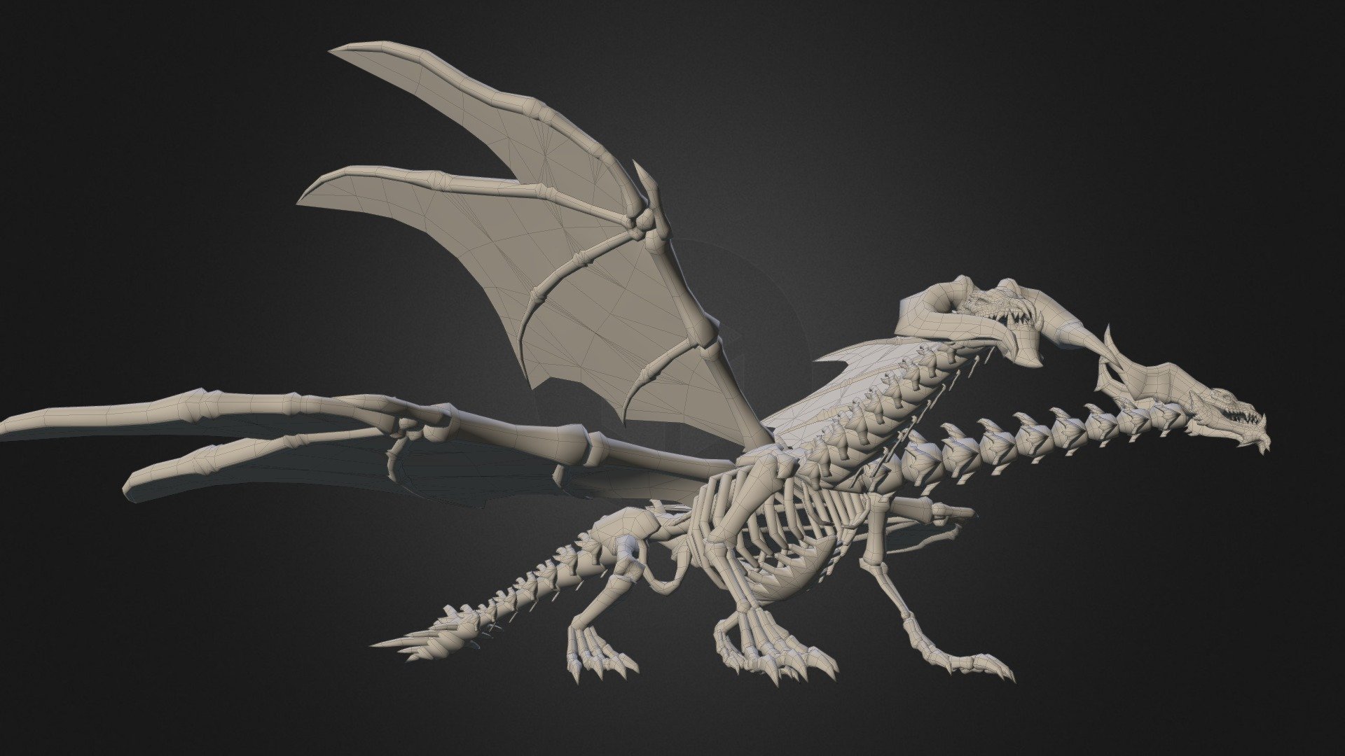 Dragon Skeleton Anatomy