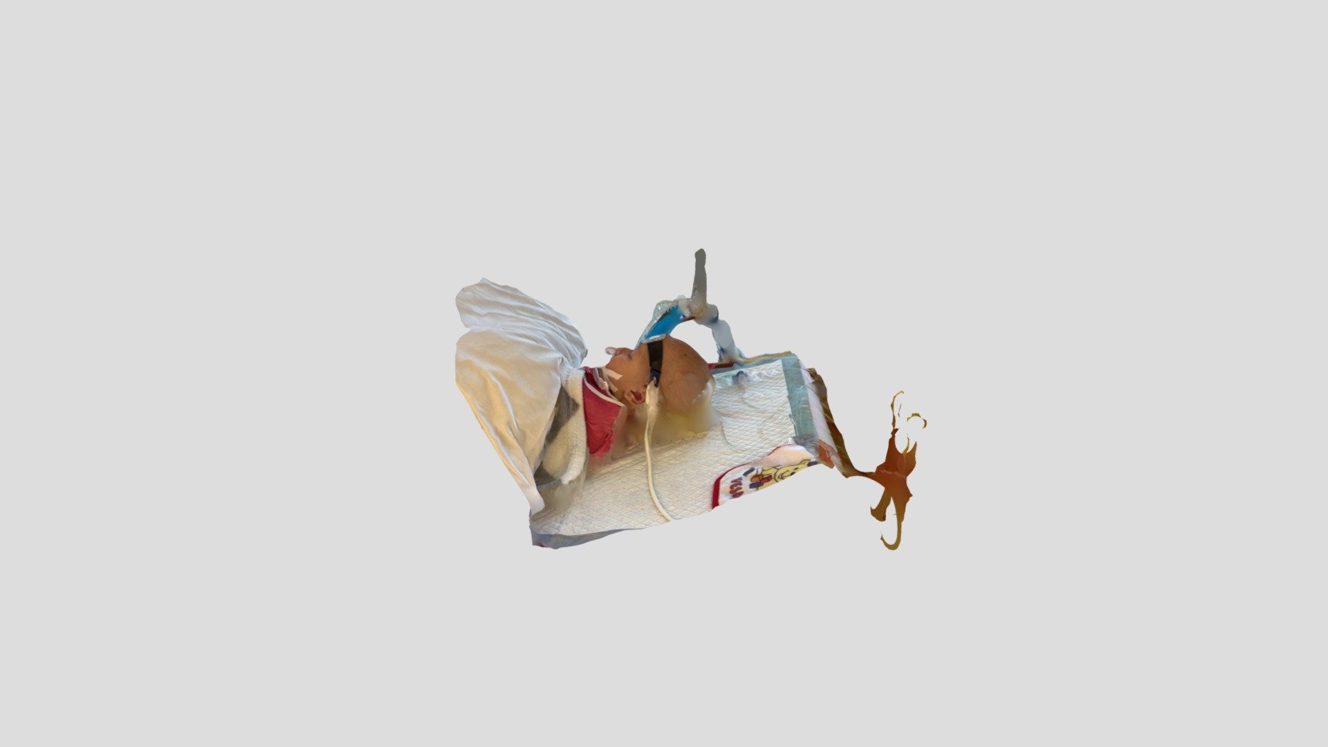 Polycam capture
