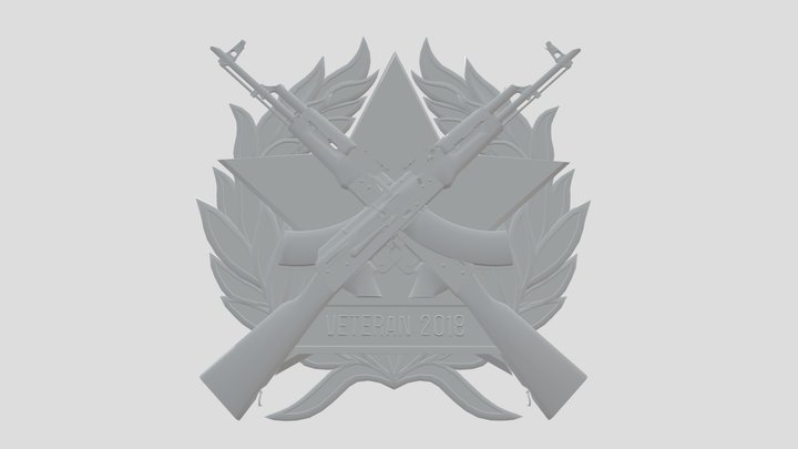 Medal Veteran 2018 3D Model