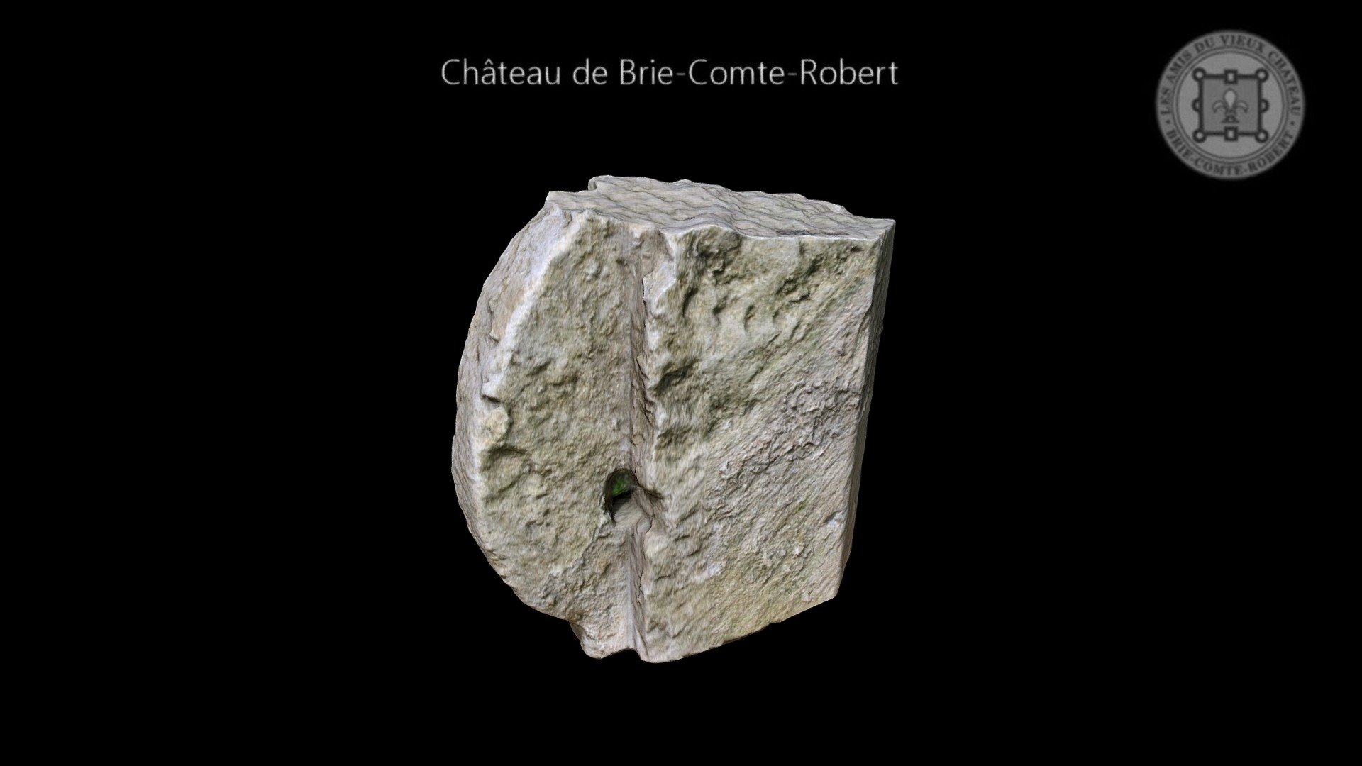 Colombe de meneau — Sketchfab embed 3D viewer