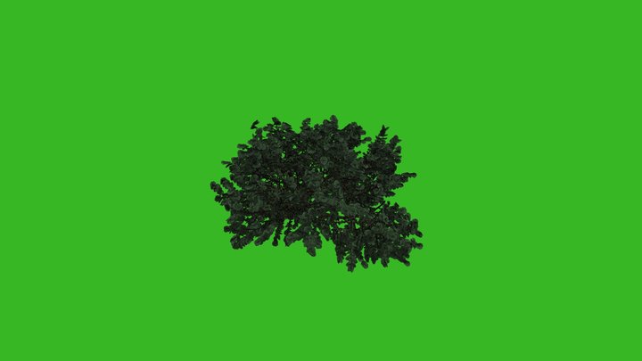 Bush_Speedtree_For_UE5 3D Model