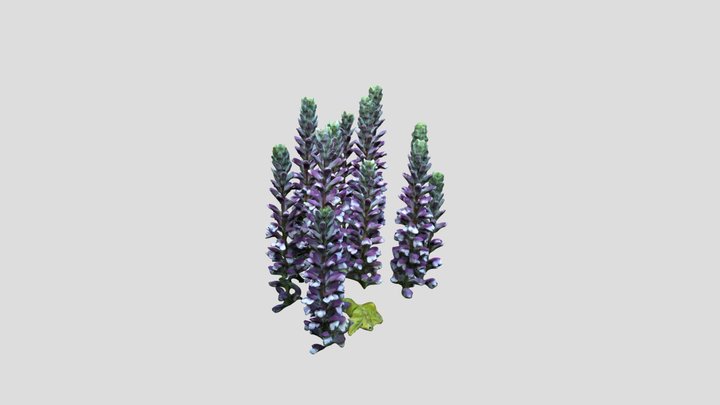 Acanthus 2 Kiri masked – Modello 3D gratuito STL