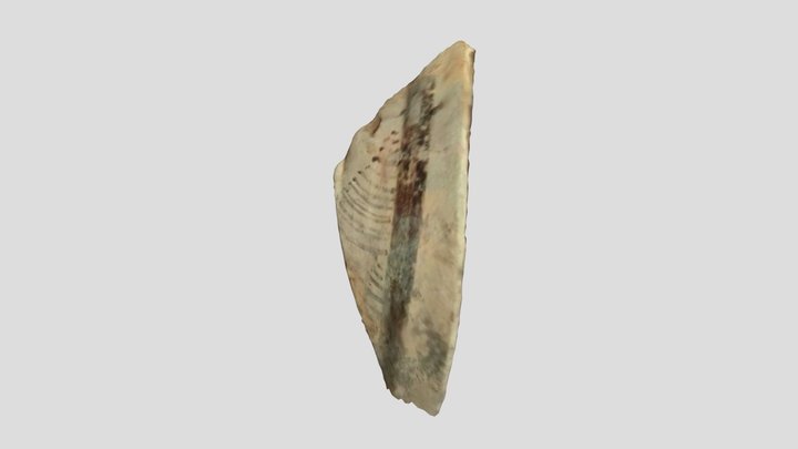 CTM 1-250 3D Model