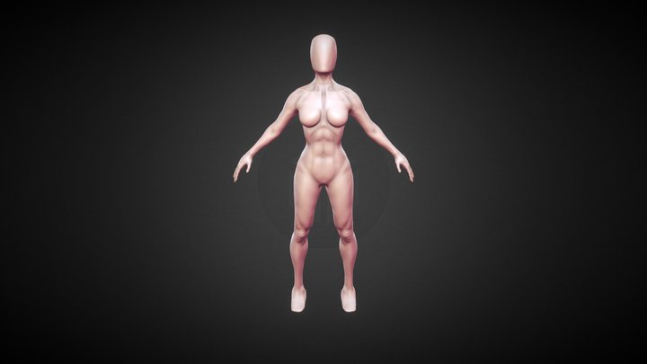 Female Anatomy Speed Sculpt 3D Model