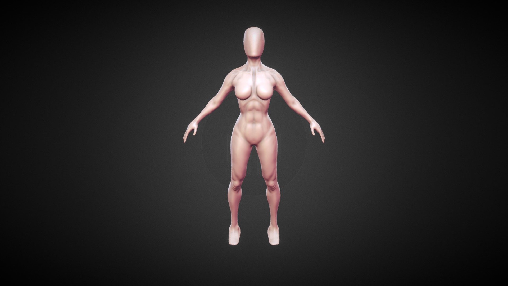 Female Anatomy Speed Sculpt