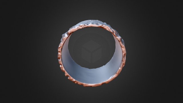 ring 3D Model