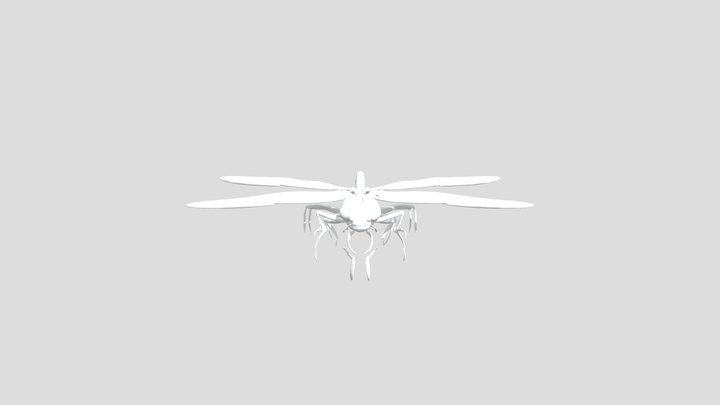 Dragonfly Delight 3D Model