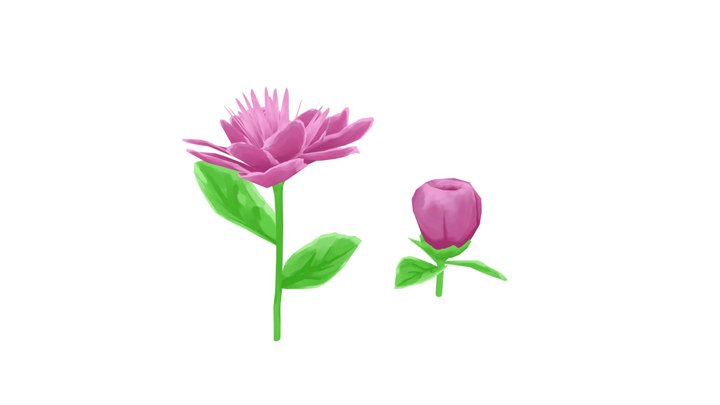 Peony Watercolor 3D Model
