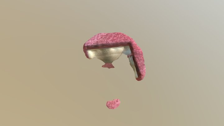 MODEL 3D Model