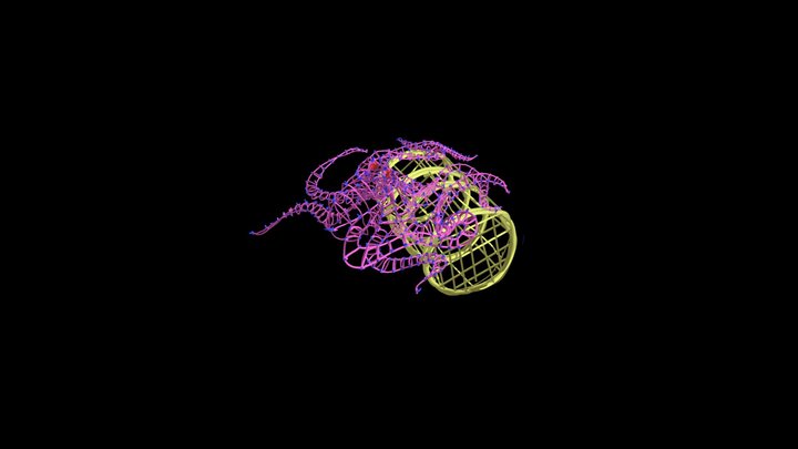 Untitled_2 3D Model