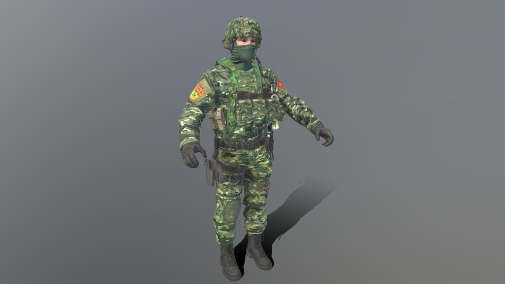 Vietnam Border Guard