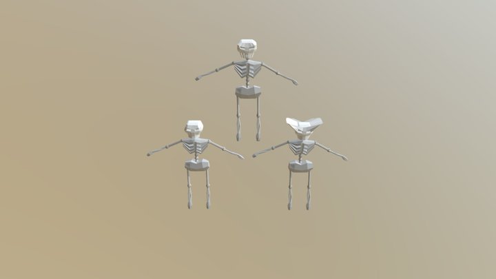 Esqueleto 3 tipo 3D Model