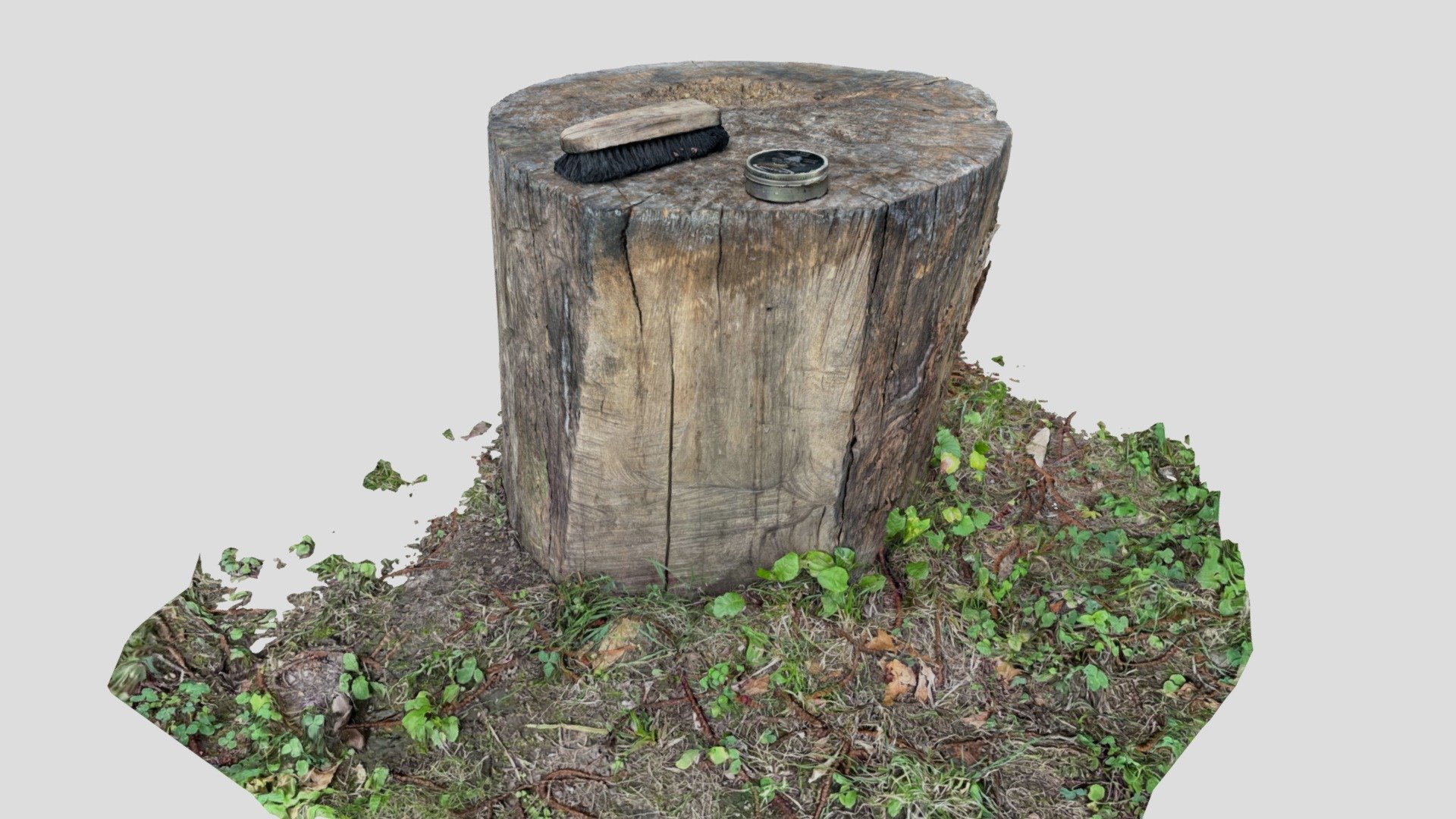 Tree Stump with Shoe Polish