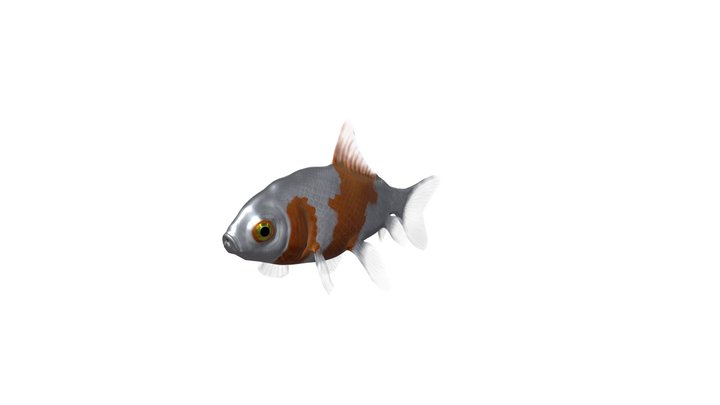 Рыба 3D Model