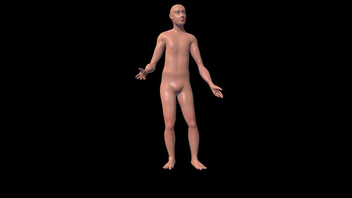 3D male modeling 3D Model