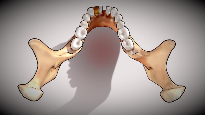 Cartoon Mandible with Gold Tooth 3D Model