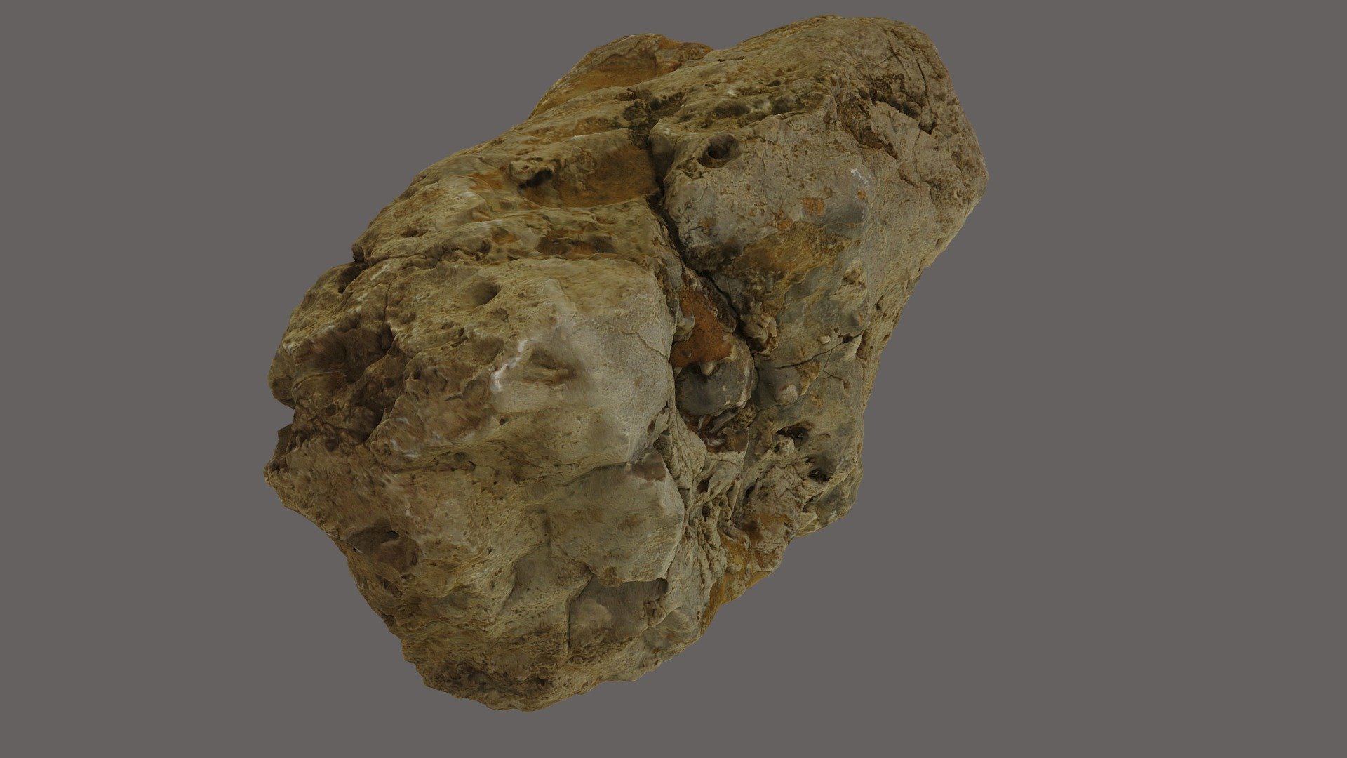 Reef limestone, Italy