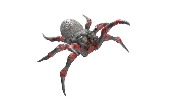 spider 3D Model