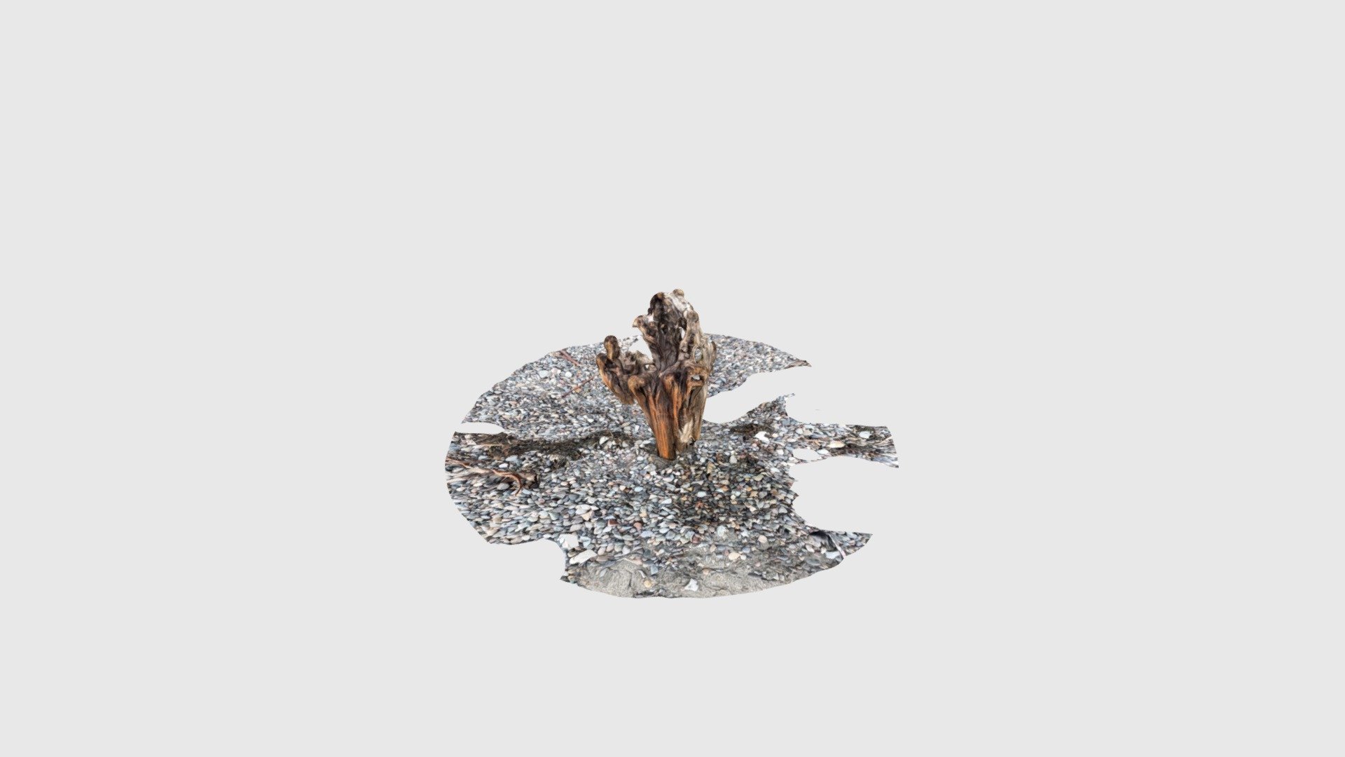 Driftwood