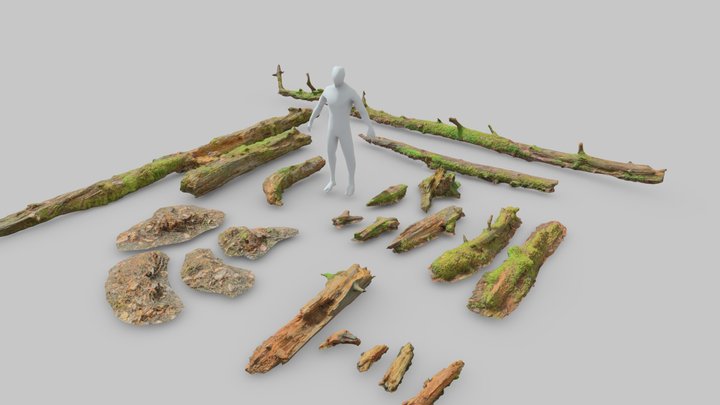 Forest Branches Debris Leaves Scan Low-poly 3D Model
