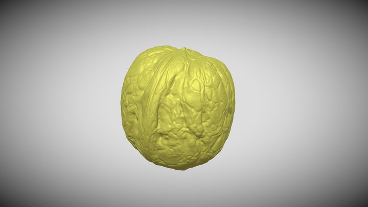 Walnut macro 3D Scan! – Free 3D Model STL