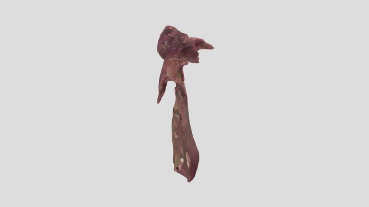 Crow on bog oak 3D Model