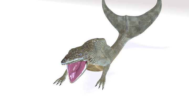 Seamonster 3D Model