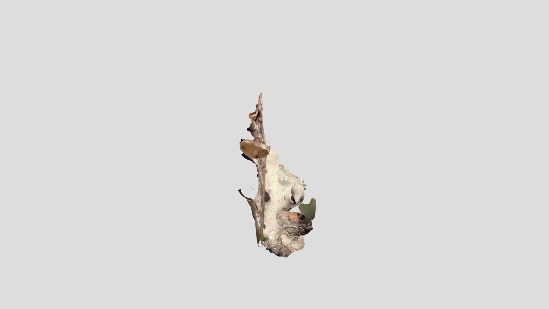 Scaled rock wall