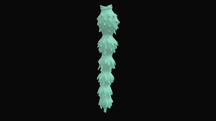 Stilostomella 3D Model