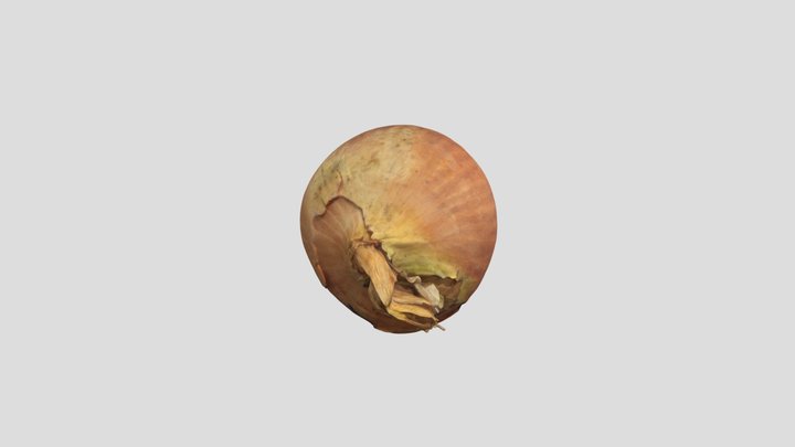 onion_5 3D Model
