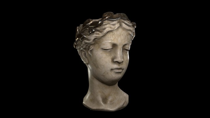 VENUS POT HEAD 3D Model