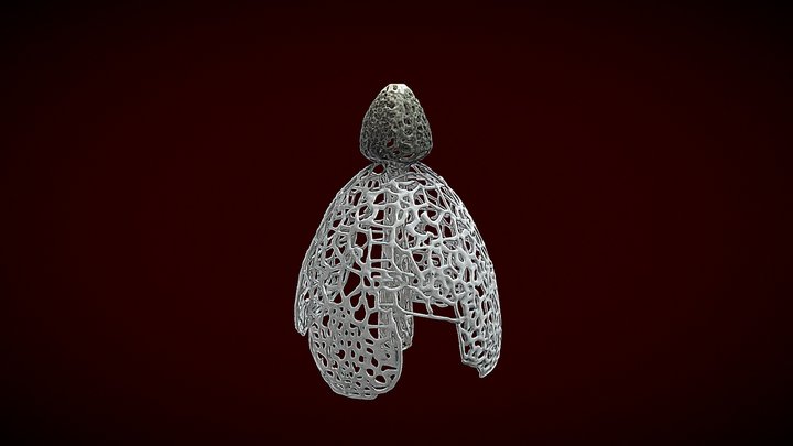 Lace Fungi Majesty | Mushroom