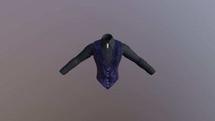 Vest Shirt combo test 3D Model