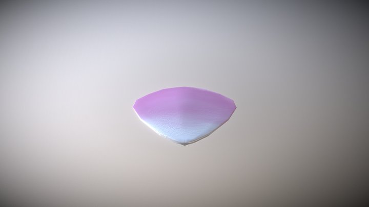 Sakura Petal 3D Model