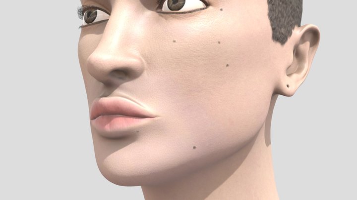 Model Lera Abova Bust Sculpt 3D Model